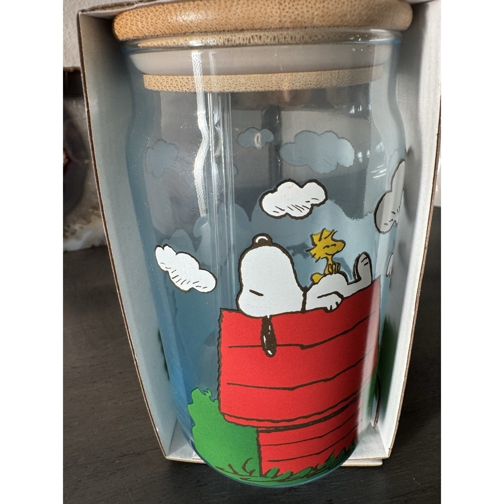 Peanuts Glass Tumbler With Lid & Straw 16 oz Charlie Brown Snoopy NWT